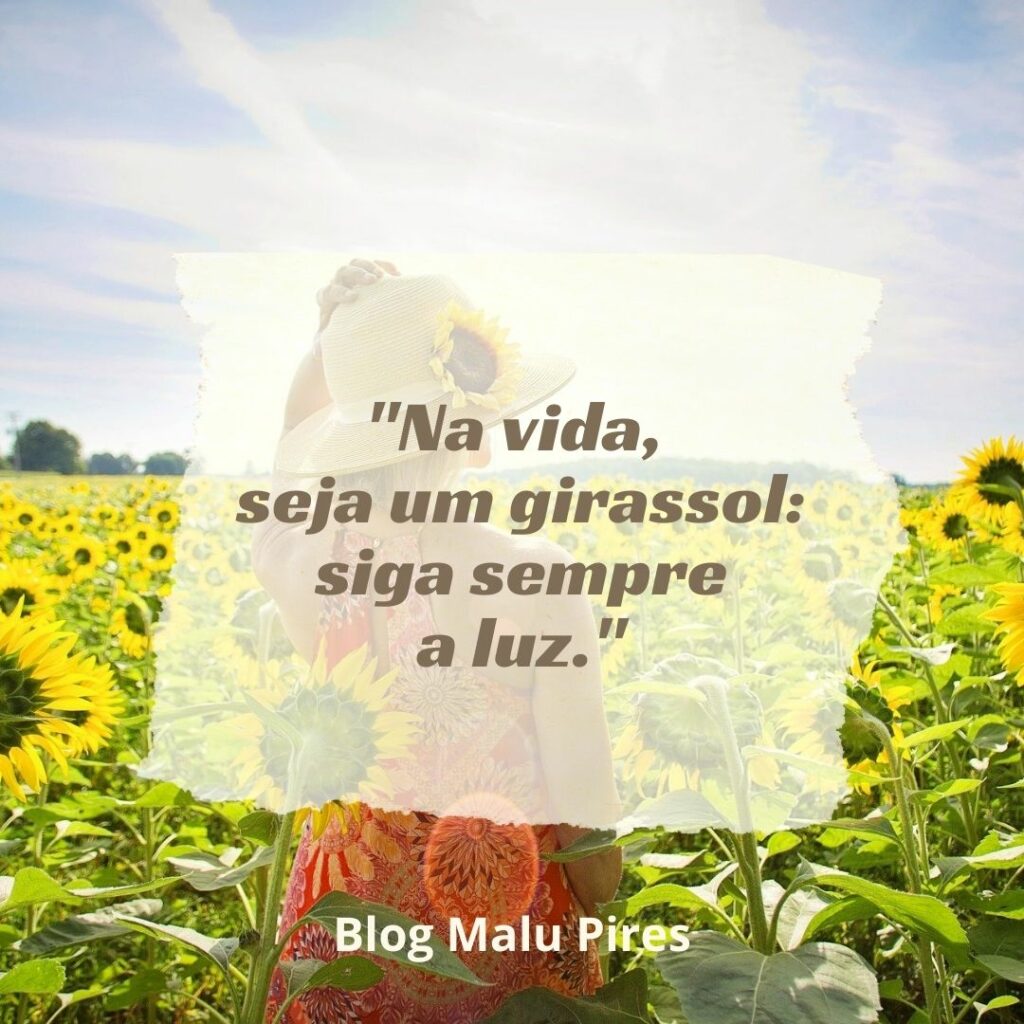 Frases para foto flor 50 opções para refletir sobre a beleza da vida