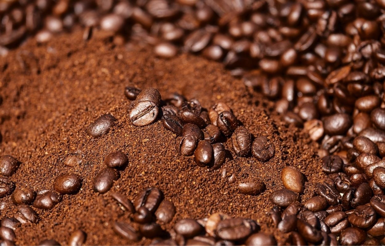 Imagem mostra café em grau e em pó - esfoliação com café