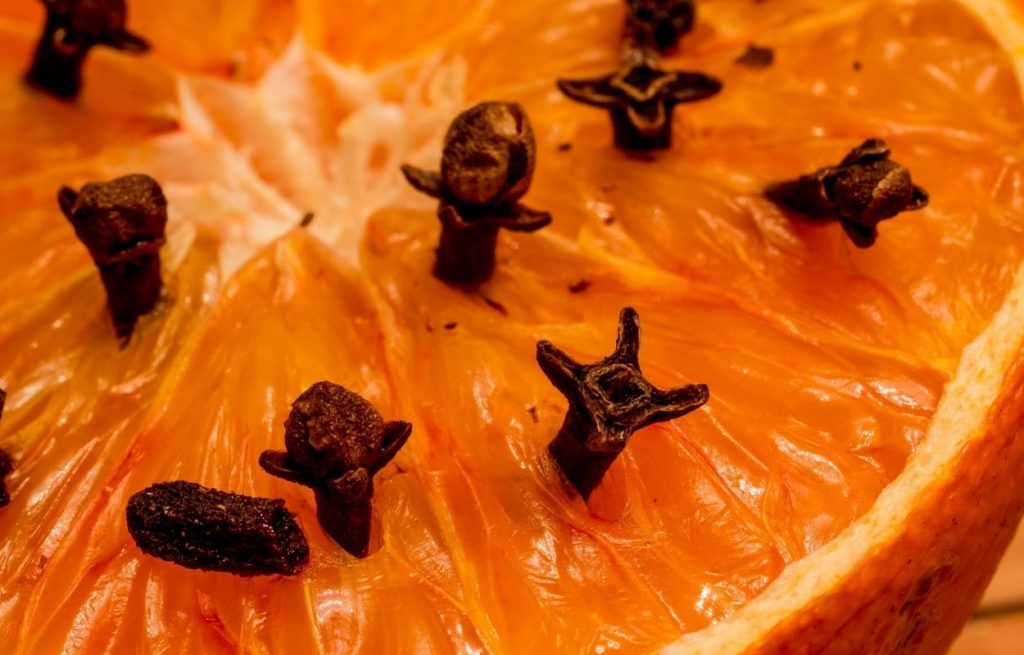 Imagem mostra laranja com cravos espetados - repelente natural