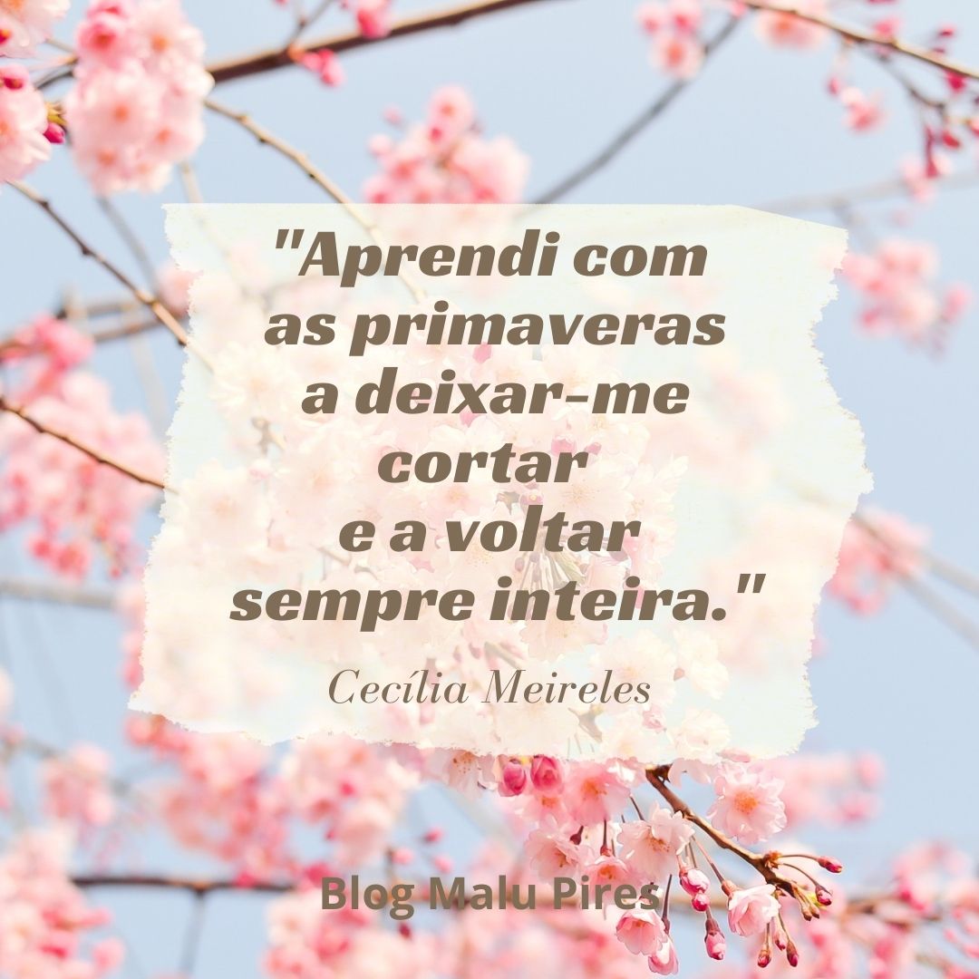 Frases de Cecília Meireles - Belas Mensagens