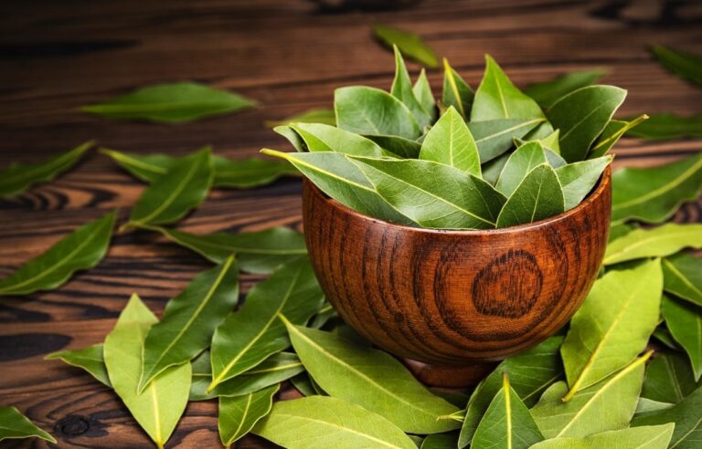 Banho De Canela E Louro Para Abrir Caminhos E Ter Abundância 2548