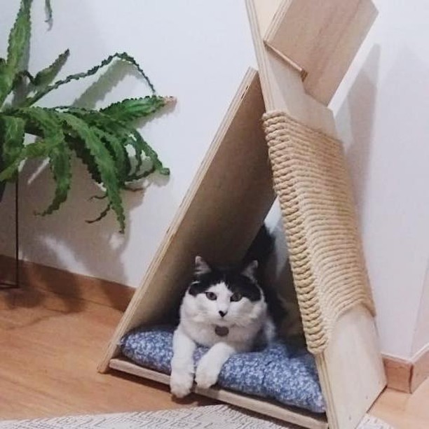 projetos de casas para gatos