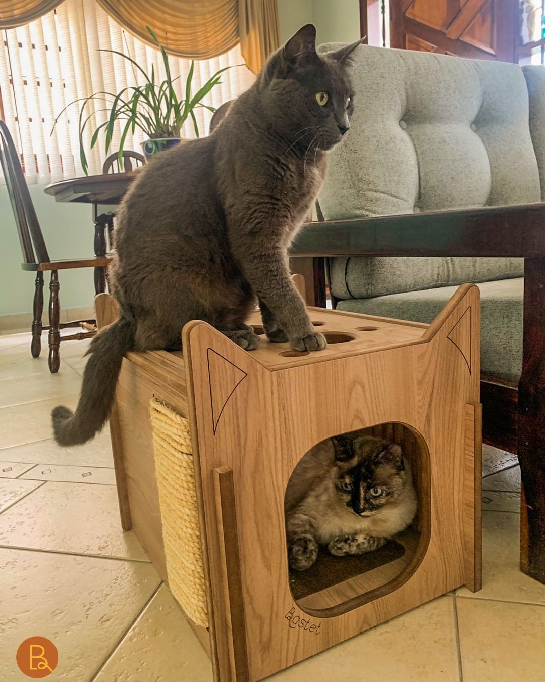 projetos de casas para gatos