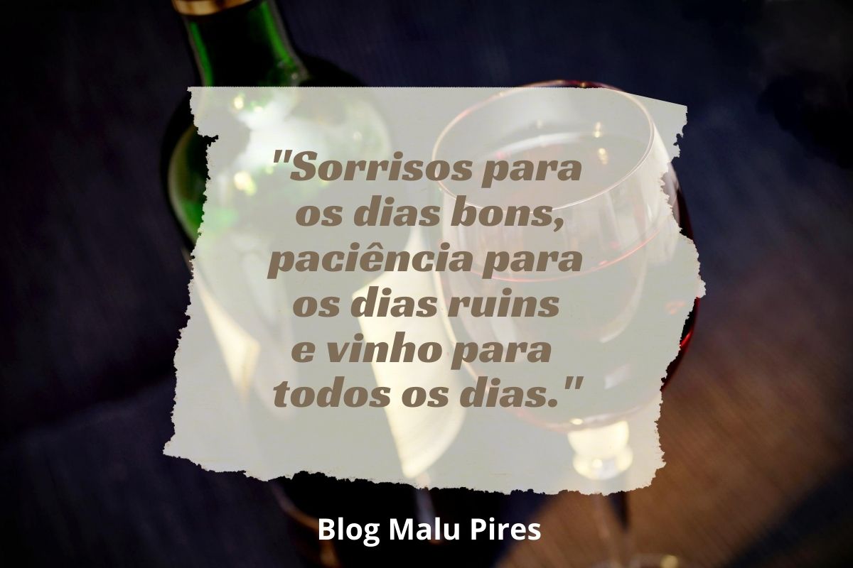 55 frases de vinho para quem aprecia seu sabor - Malu Chapéus - Blog
