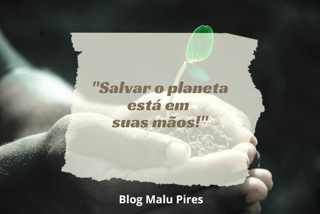 45 Frases De Meio Ambiente Para Reforçar A Importância Da Preservação 