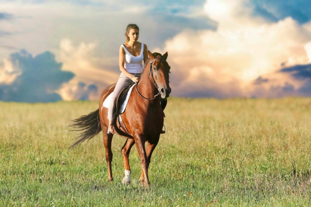 sonhar com cavalo