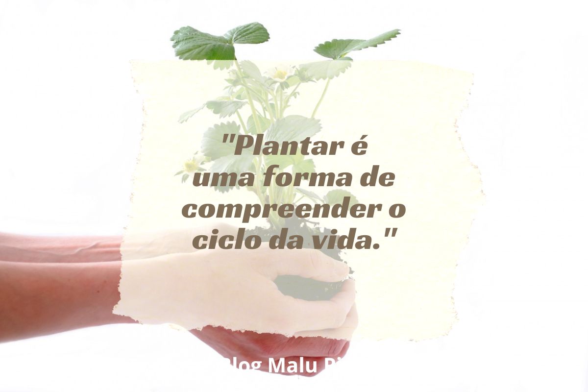 50 frases para quem ama plantas - Malu Chapéus - Blog