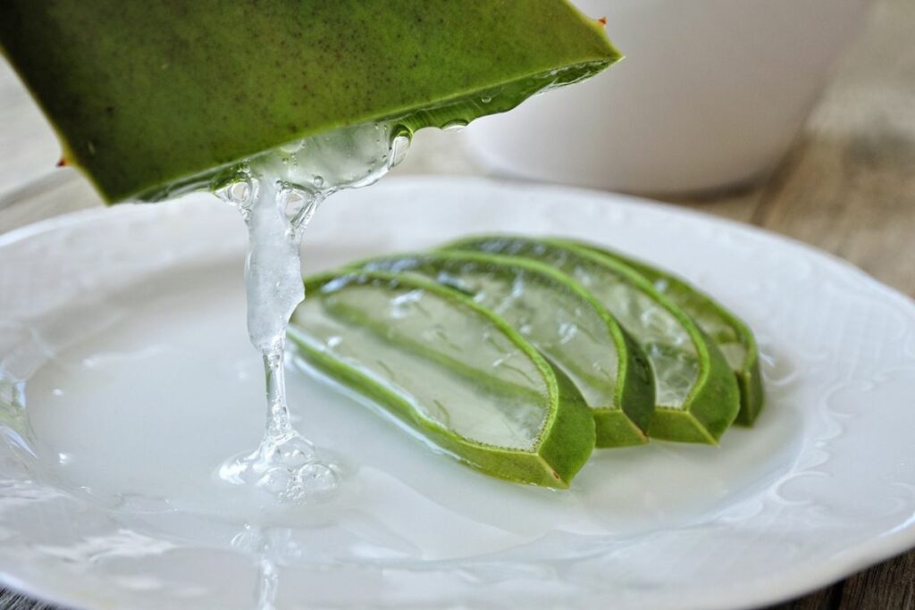 aloe vera para rosto e cabelo